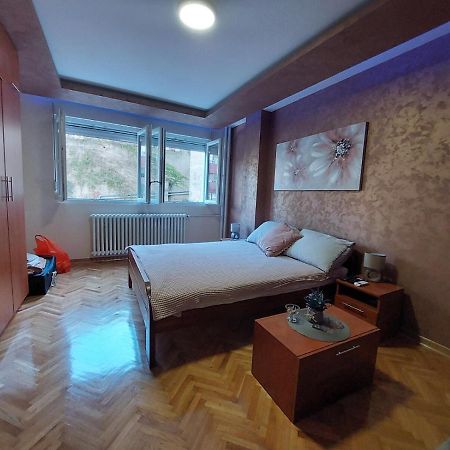 Cuca Apartments Belgrade Extérieur photo